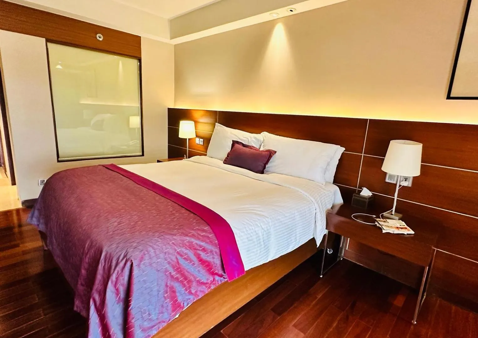 Hotel Airport Tulip Suites Near Delhi Airport New Delhi